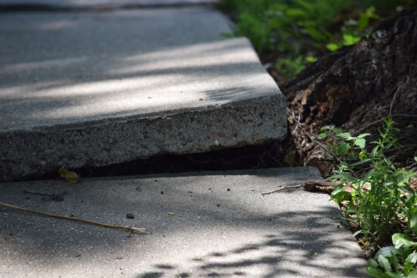 Sidewalk Leveling in Birmingham